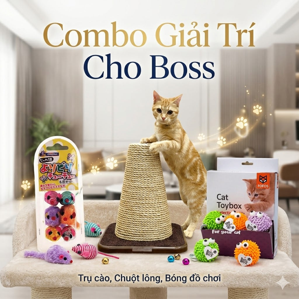 Combo Giải Trí Cho Boss